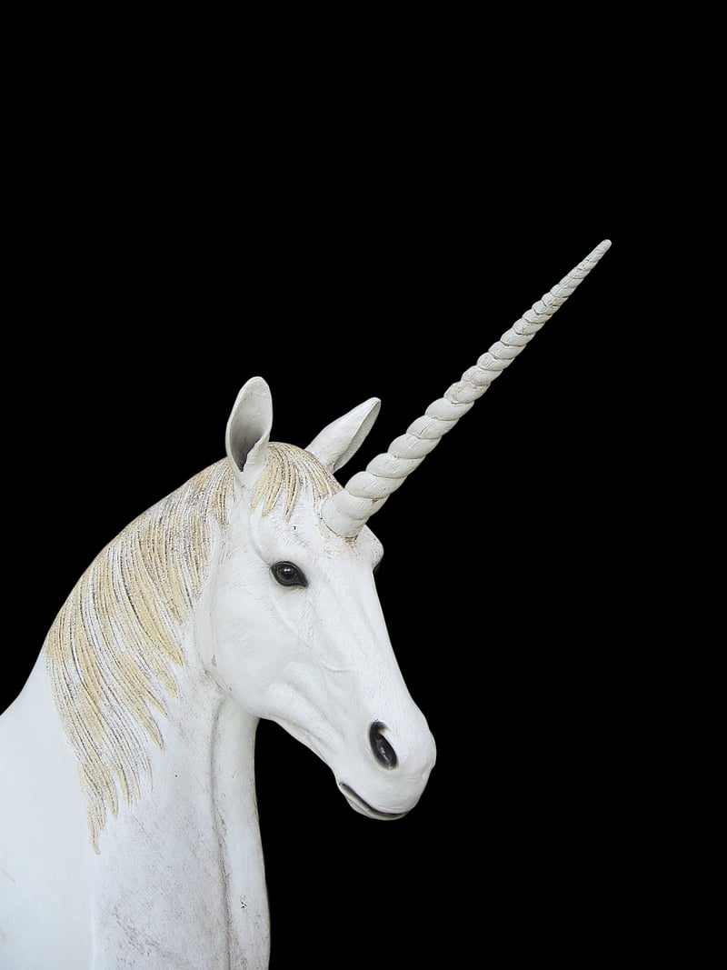 Unicorn Galas