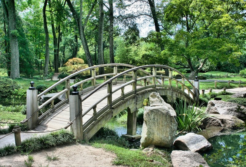 Witchy Gardens