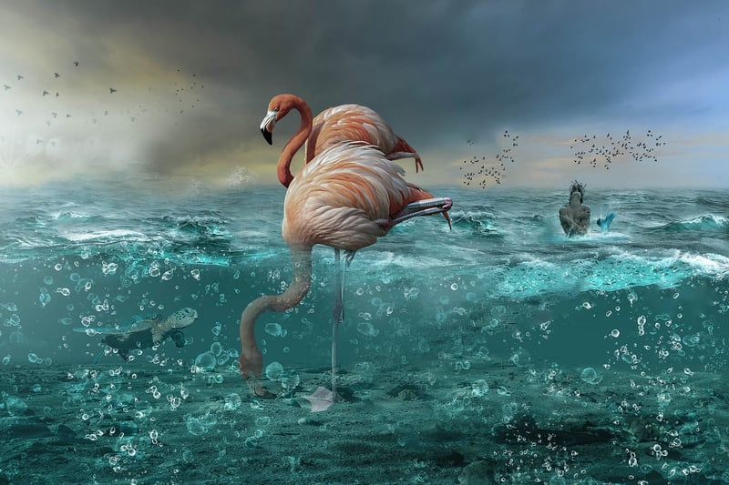 Mermaid Pond